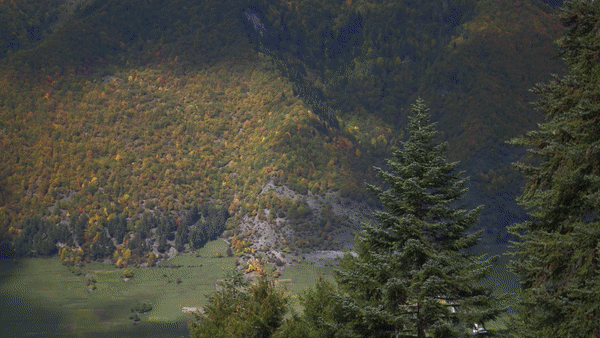 ezgif-5-f659e735b3.gif
