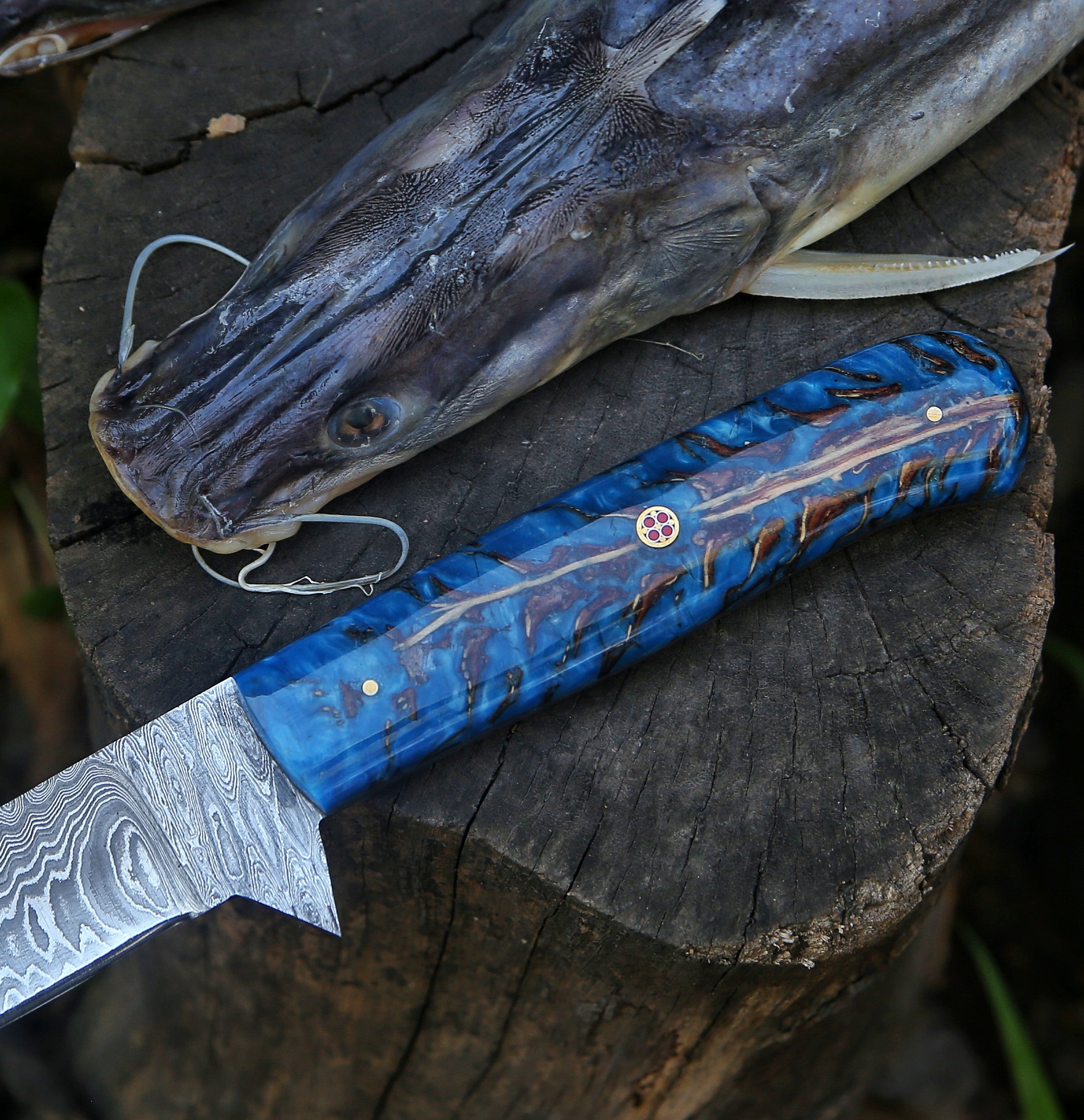 PINECONE SacredBlade | Fishing Fillet Knife | Damascus Steel & Natural Pinecone