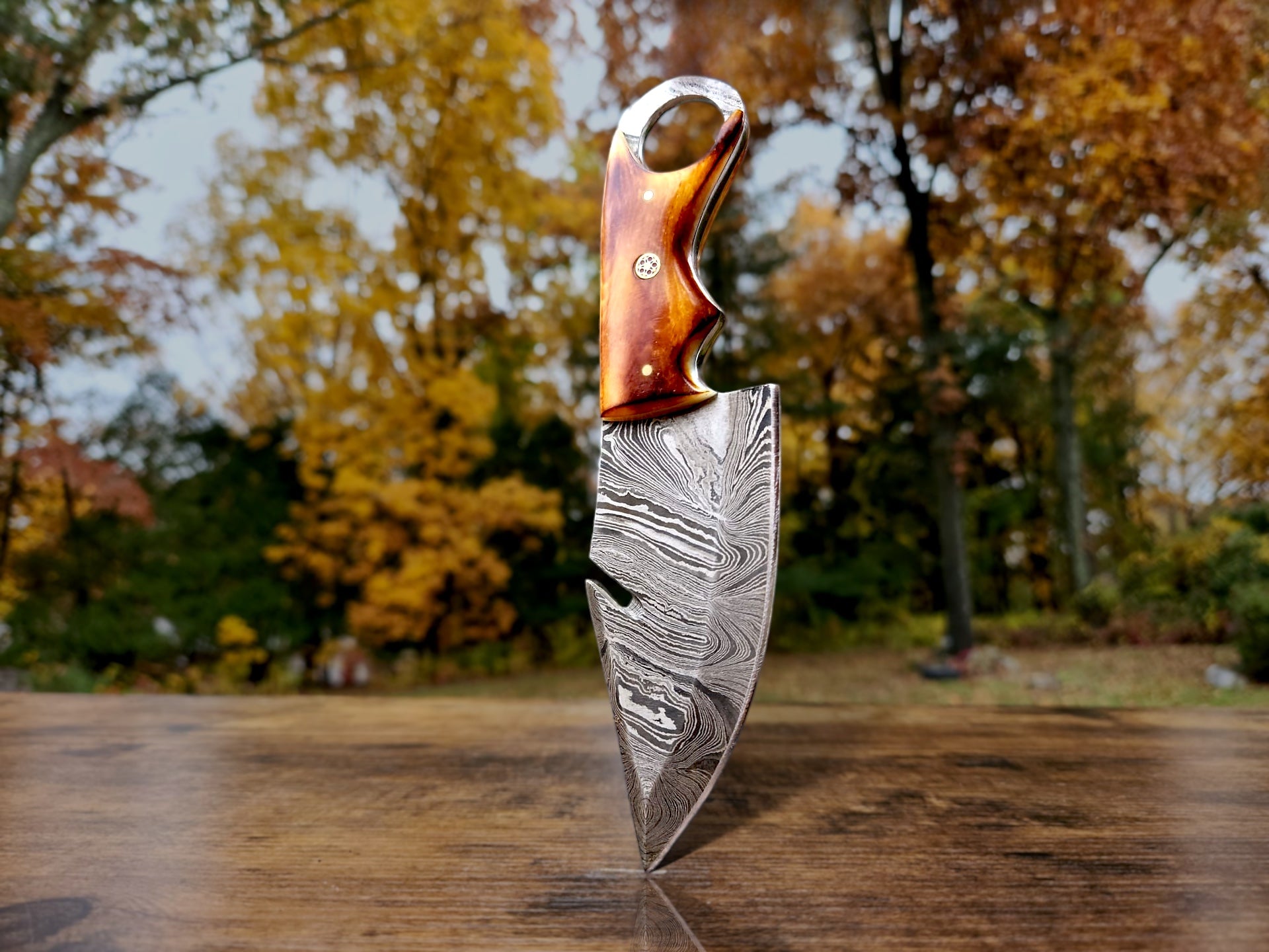 🔥 Burnt Camel Bone Damascus Steel SacredBlade | Survival Knife