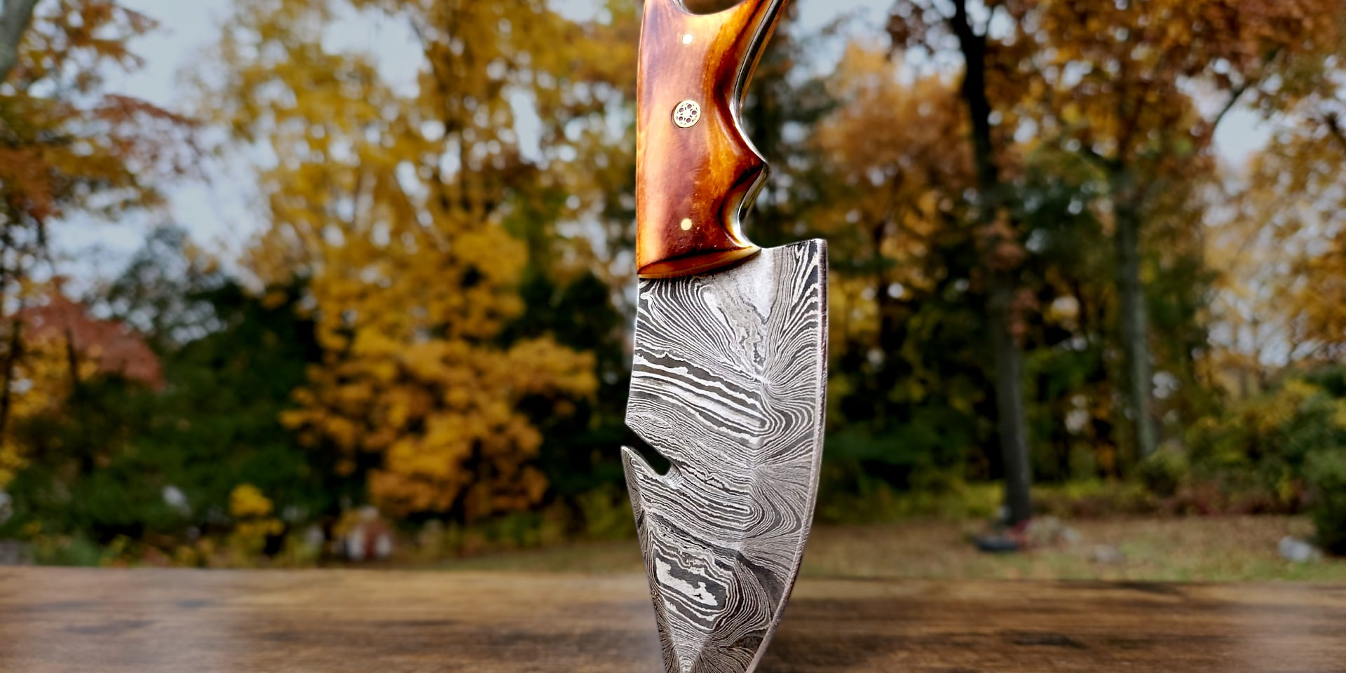 🔥 Burnt Camel Bone Damascus Steel SacredBlade | Survival Knife