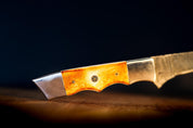DUNE2 SacredBlade | Fishing Fillet Knife | Damascus Steel & Camel Bone